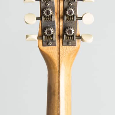 Bacon Orchestra Style B Mandolin Banjo, c. 1917, original black hard shell case. image 6