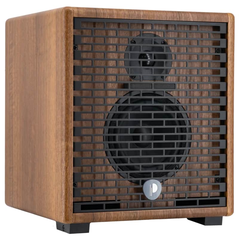 Prodipe Natural 5 V2 Walnut Wood Acoustic Amp image 1