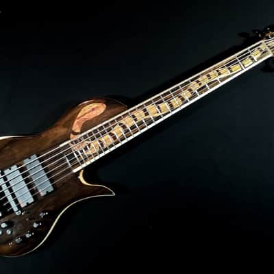 Handcrafted 6 string Snake Olympia by Gamma Guitars image 1