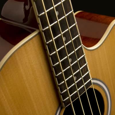 Washburn Acoustic Bass AB5 Natural w/Gigbag image 5