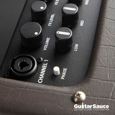 Fender Acoustic Junior Combo 2024 (Cod.AMP_00162) image 5