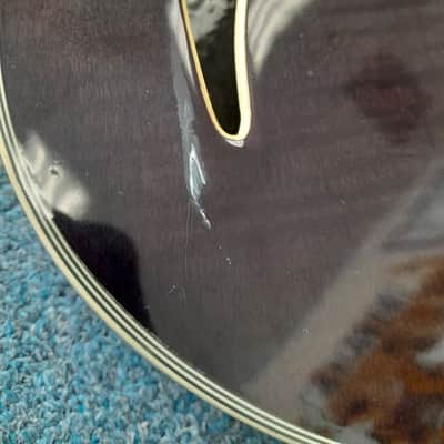 Schecter THS 12 String - Transparent Dark Brown image 5