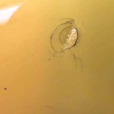 Loaded 1984 Fender Telecaster body (Jason Isbell Pickups) image 7