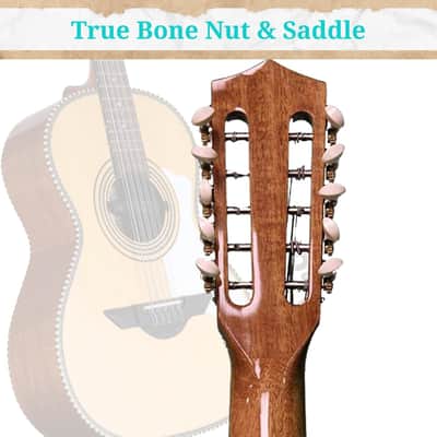 H. Jimenez 10-String Bajo Quinto - Natural (LBQ2NCE) image 2