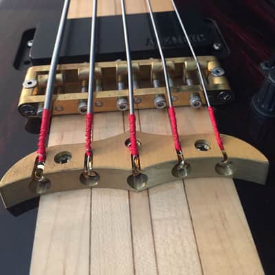Alembic Exploiter Custom Coco Bolo 5-string bass image 3
