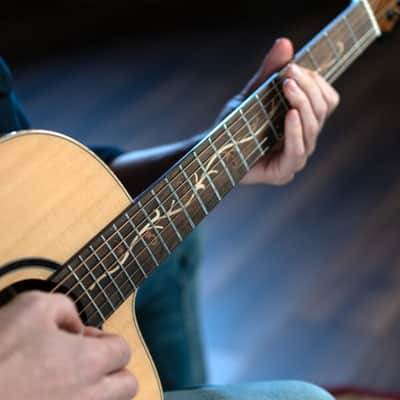 Washburn BTSC40SCE | Bella Tono Suprema Acoustic-Electric Guitar, Natural Gloss. New with Full Warranty! image 12