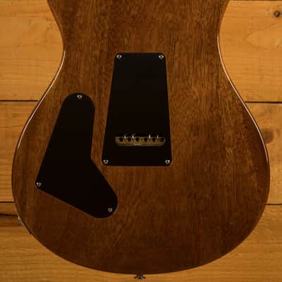 PRS Custom 24 Birds of a Feather LTD - Honey Gold image 2
