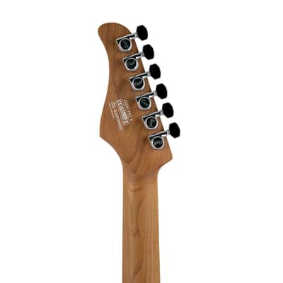 Cort G290-FAT-II-AVB Electric Guitar, Antique Violin Burst, IE22030XXXX image 9