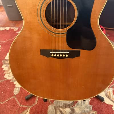 1975 Guild F50R with K&K Pure Mini and Humidicase image 2