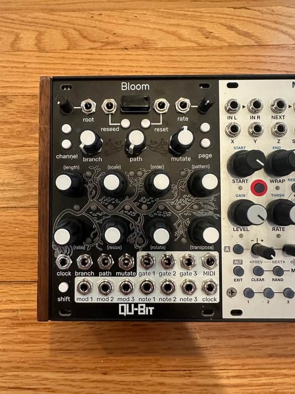 Qu-Bit Electronix Bloom V2