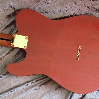 GB Liuteria Traditional Tele semi hollow kiaat image 21