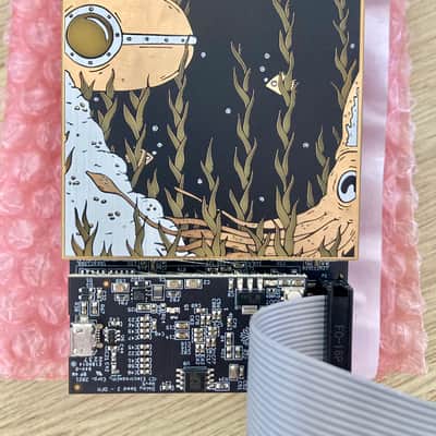 Qu-Bit Electronix Nautilus 2023 - Present - Black image 4