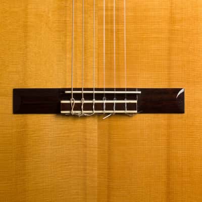 Thomas Prisloe  Classical Guitar (2000), ser. #208 image 17