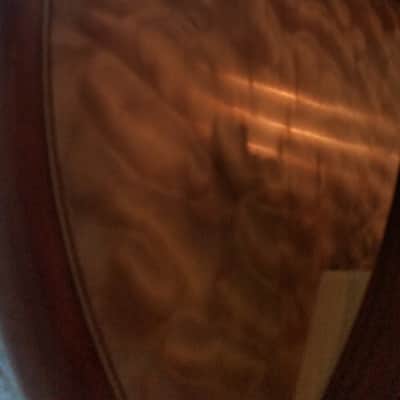 Alembic Classico Electric Upright with stand and soft case image 4