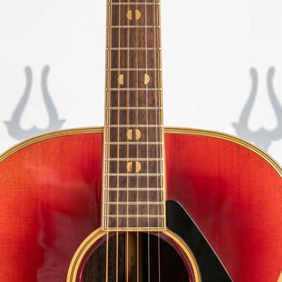 Daion Year Series '82 Six String Acoustic image 2