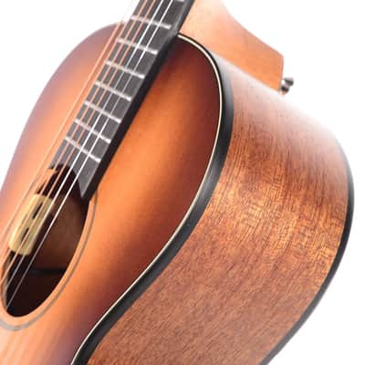 Blues Delta DeLite Small Body Guitar w/GigBag image 4
