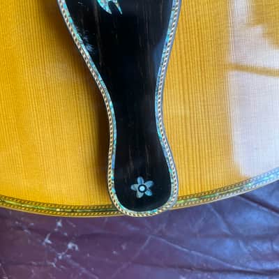 Danche Archtop Mid 90s - Nitrocellulose image 3