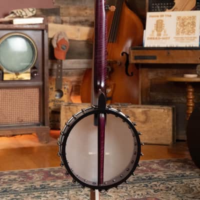 Gold Tone OME Jasmine 5-String Open Back Banjo #5091 image 10