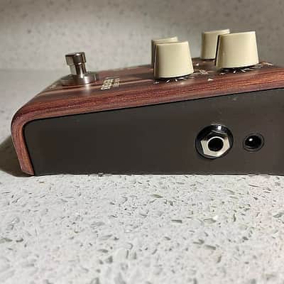 LR Baggs Align Reverb imagen 6