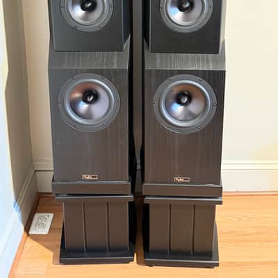 Tyler Acoustic D2X Mastering Studio Monitors image 2