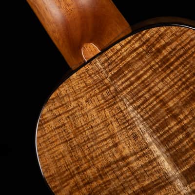 olaMestre curly redwood tasmanian Blackwood soprano ukulele image 17