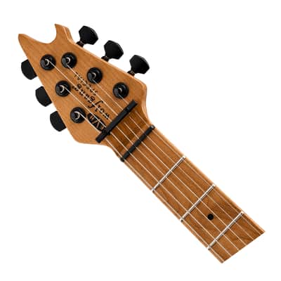 EVH Wolfgang Special Baked Maple TOM Electric Guitar - Gloss Black image 4