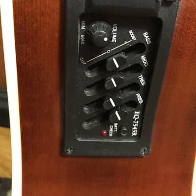 Branson 5-string fretless resonator bass - Burst image 3