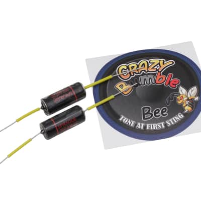 Vintage style Electric Upgarde Kit Shortshaft for Gibson Les Paul incl. Black Beauty Caps image 2