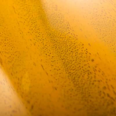 Gibson Les Paul Special, TV Yellow | Demo image 12