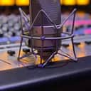 Neumann TLM 49 Large Diaphragm Cardioid Condenser Microphone 2006 - Present - Nickel