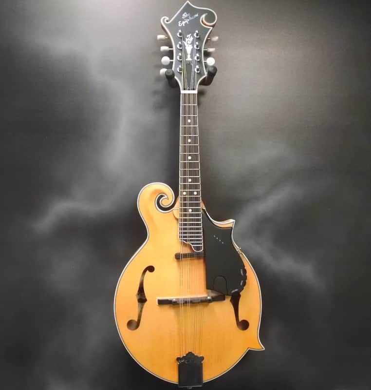Epiphone MM-50E Professional Mandolin | Reverb