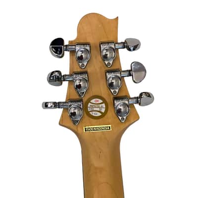 Samick MB-1/MG Greg Bennett Malibu Series S-Style Electric Guitar - Gold (Used) image 9