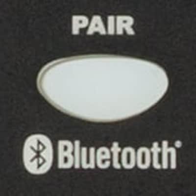 Fender Passport Venue Series 2. Black image 4