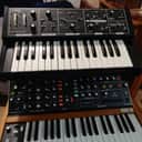 Moog Rogue 1981 - Black