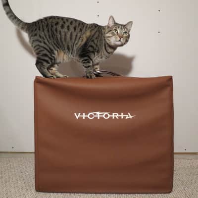 Victoria Victorilux 1x15 / 115 Combo Amplifier image 23