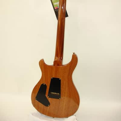 PRS Paul Reed Smith Custom 24 10-Top Guitar, Rosewood Fretboard, Eriza Verde image 13