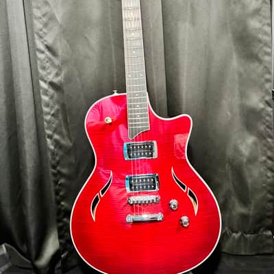 Taylor T3 2009 - Present - Red Edge Burst image 4