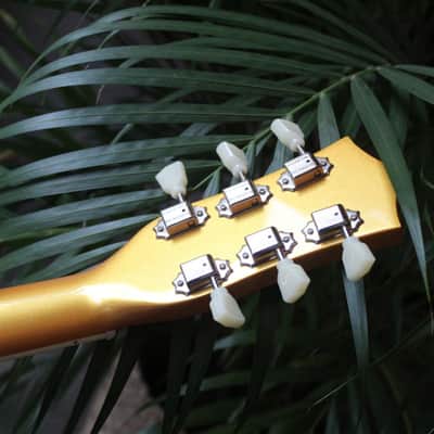 STANFORD "Fatboy Golden 95" HARDCASE, 3, 18 KG, Scotty Moore is Alive! image 6