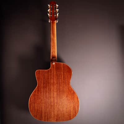 2017 Holo Tradition D-hole Selmer-Macaferri Style Manouche Guitar "Staro" image 11
