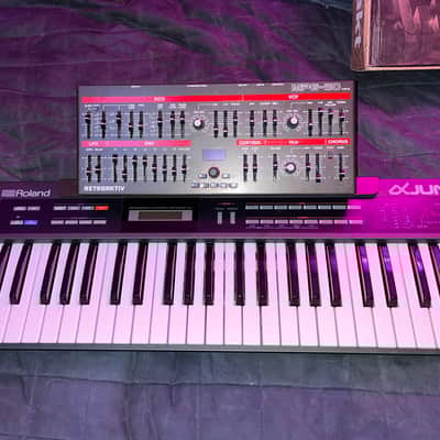 RARE Roland Alpha Juno-1 Analog Synth (w/ Case) + Retroaktiv MPG-50 Programmer + Soundbank