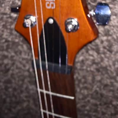 PRS SE Santana Standard Tortoise Shell electric guitar image 3