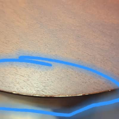 Seagull S12+ 12 String Acoustic Guitar S12 PLUS - Cedar Top image 13