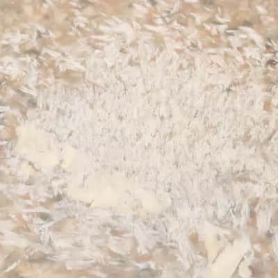 Slingerland 13" Tom Tom Batter Drum Head Vintage image 5