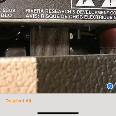 Rivera Chubster 2000's Cheap Trick (like)Checkered Grill Cloth image 10