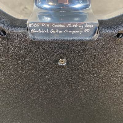Elecrical Guitar Company Custom 12-String Bass 2010 - Aluminum image 11