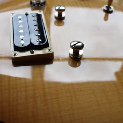 PRS SE Singlecut 2010-Book-matched Body & Top image 12