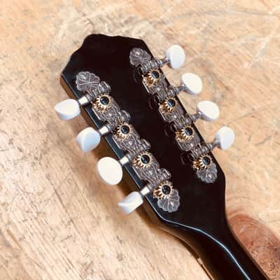 Harmony Electric Acoustic Mandolin image 6
