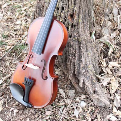 John Juzek 85 Violin Outfit with Case and Bow 4/4 size - Shaded Amber/Tobacco Brown Matte image 15