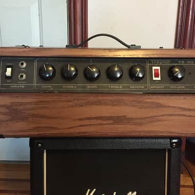 Traynor TS-50 Vintage Amplifier Head in Custom Cab image 1