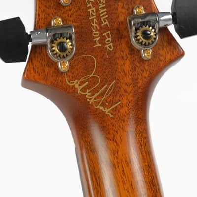 PRS Birds Of A Feather Private Stock Guitar Of The Month Owned by David Grissom image 9